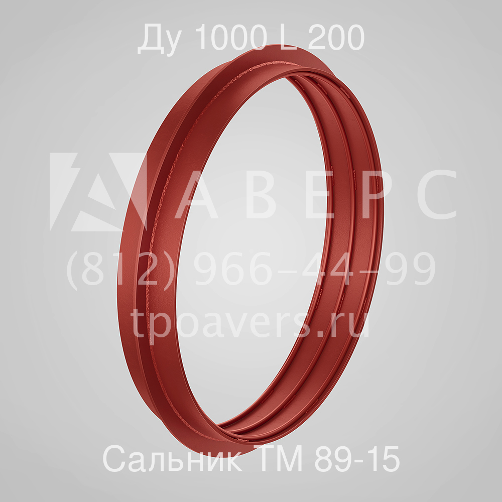 Сальник набивной Ду 1000 L 200 ТМ 89-15 - вид 1