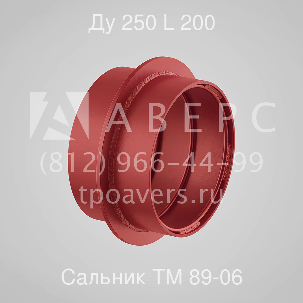 Сальник набивной Ду 250 L 200 ТМ 89-06 - вид 1