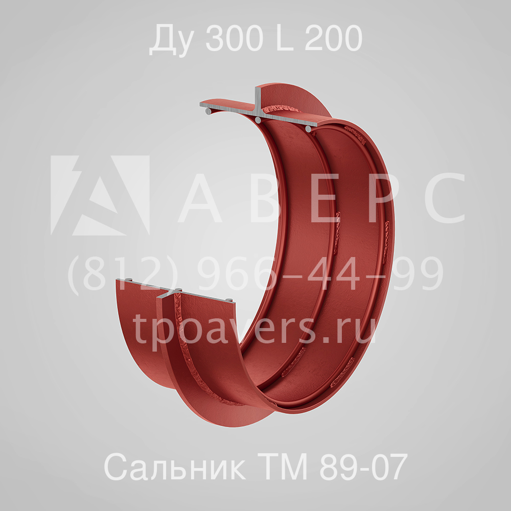 Сальник набивной ду 200
