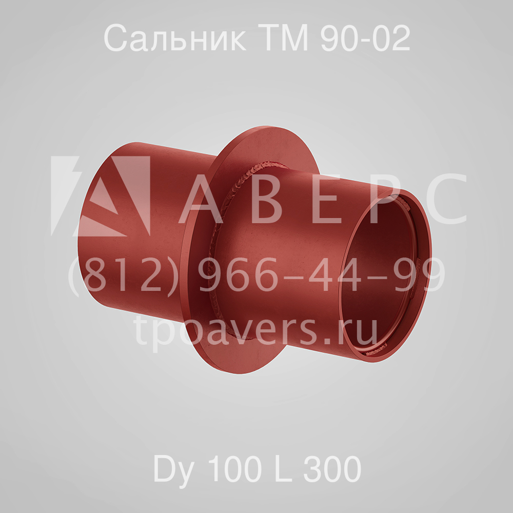Сальник набивной Ду 100 L 300 ТМ 90-02 - вид 1