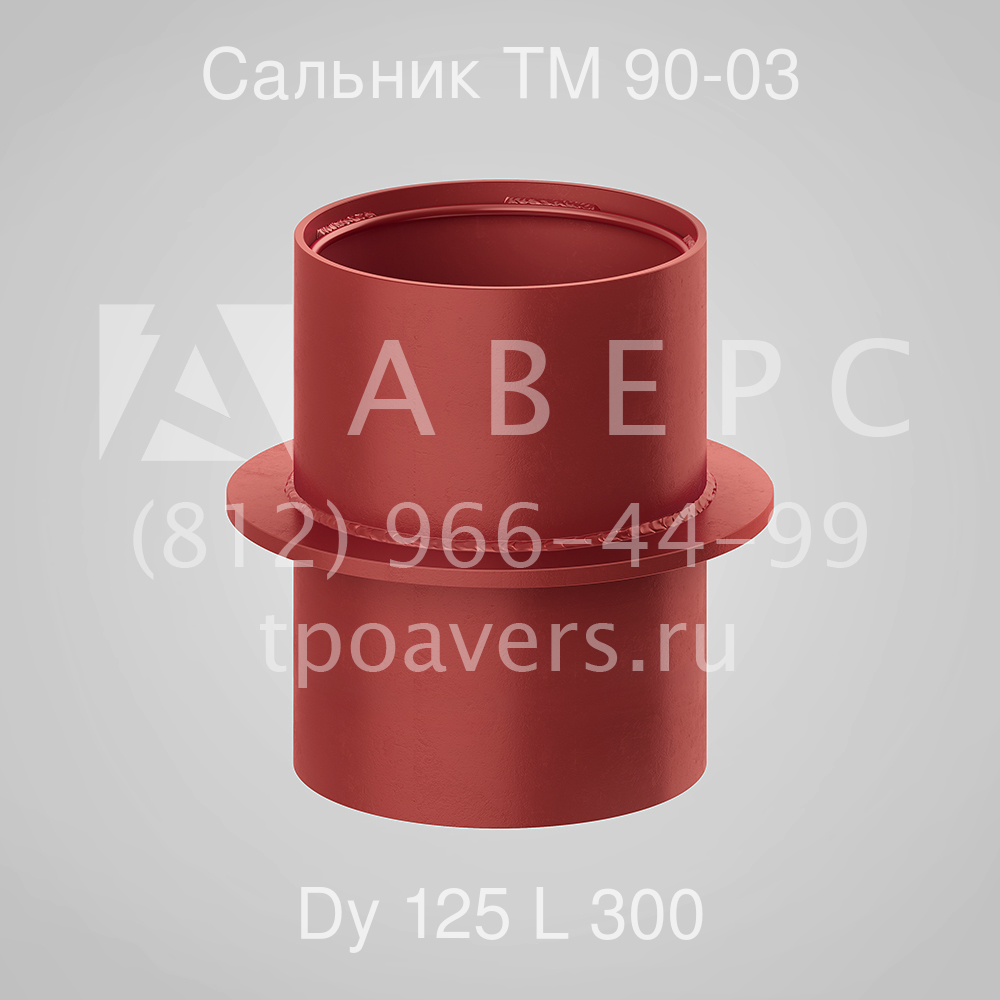 Сальник набивной Ду 125 L 300 ТМ 90-03
