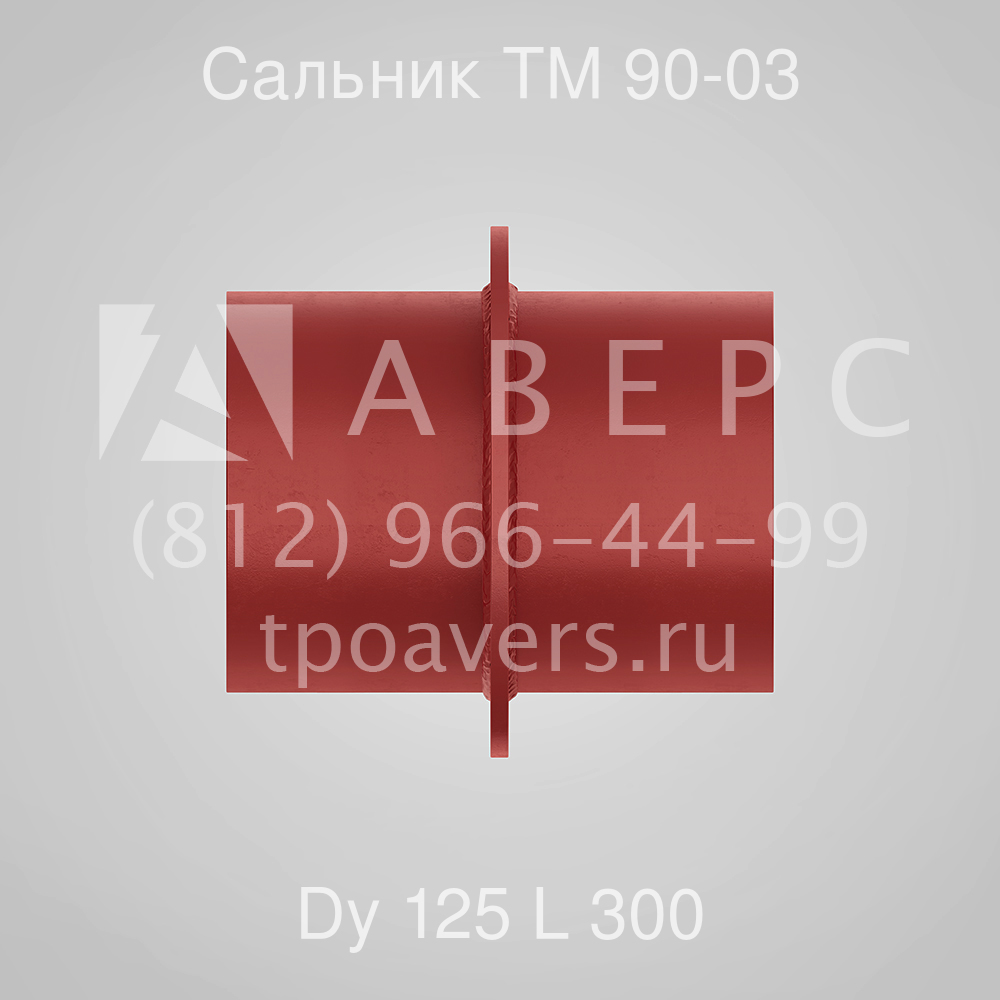 Сальник набивной Ду 125 L 300 ТМ 90-03