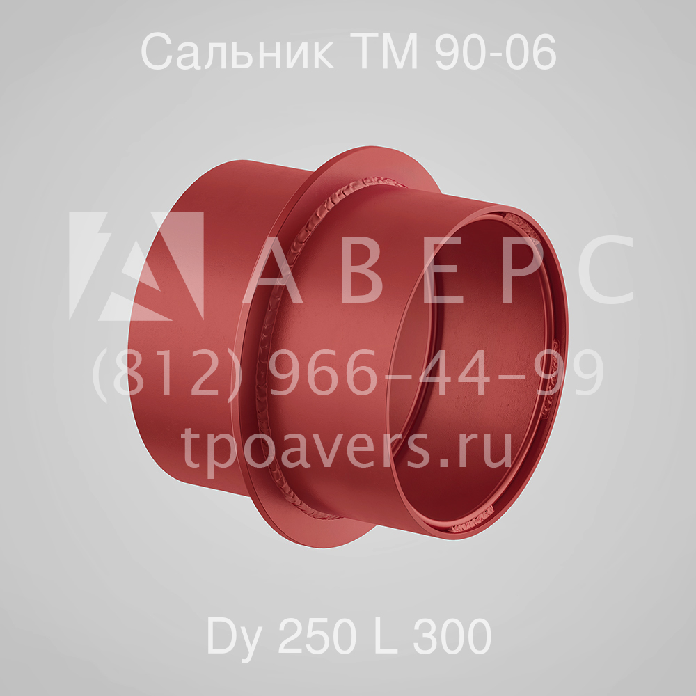 Сальник набивной Ду 250 L 300 ТМ 90-06 - вид 1