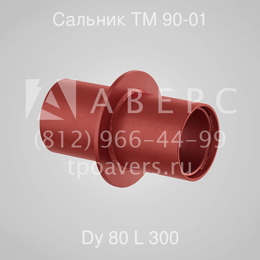 Сальник набивной Ду 80 L 300 ТМ 90-01 - вид 1
