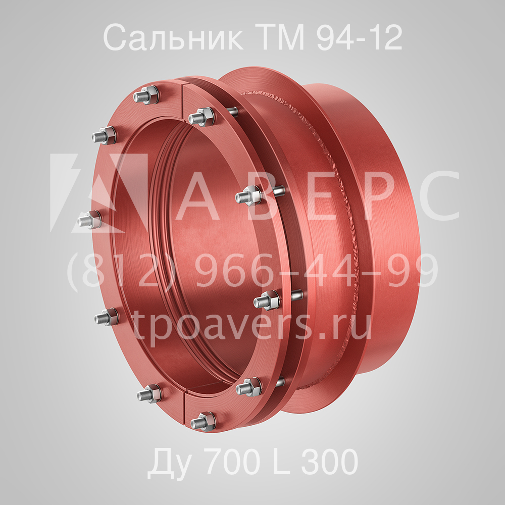 Сальник нажимной Ду 700 L 300 ТМ 94-12 - вид 1