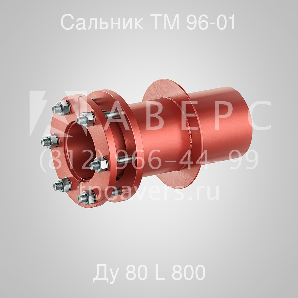 Сальник нажимной Ду 80 L 800 ТМ 96-01 - вид 1